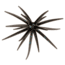Strike King Chuker Soft Bait