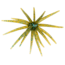 Strike King Chuker Soft Bait