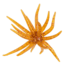Strike King Chuker Soft Bait