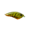 Strike King Strike King Hardliner Crankbaits, Phantom Green Craw, 7/16oz, HCHLNR-736