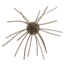 Strike King Mag Tumbleweed Floating Soft Bait