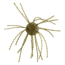 Strike King Mag Tumbleweed Floating Soft Bait