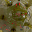 Strike King Mag Tumbleweed Floating Soft Bait