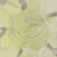 Strike King Mag Tumbleweed Floating Soft Bait