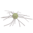 Strike King Mag Tumbleweed Floating Soft Bait