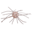Strike King Mag Tumbleweed Floating Soft Bait