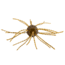 Strike King Mag Tumbleweed Floating Soft Bait