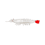 Strike King Tidal Shrimp Swimbait, Boxer, 4.25in, TSB425-136