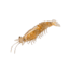 Strike King Tidal Shrimp Swimbait, Dishwater Glitter, 2.75in, TSB275-553