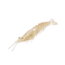 Strike King Tidal Shrimp Swimbait, Gold Rush, 4.25in, TSB425-519