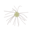 Strike King Tumbleweed Floating Softbait, 4 pack, 3in, Lemon Drop, 12-36253