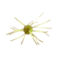 Strike King Tumbleweed Floating Softbait, 4 pack, 3in, Summer Craw, 12-36245