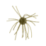 Strike King Tumbleweed Floating Softbait, 4 pack, 3in, Watermelon Red Flake, 12-36251