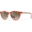 Suncloud Polarized Optics Questa Sunglasses-Tortoise-Brown Gradient