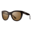 Suncloud Polarized Optics Sidney Sunglasses-Black-Polarized Brown