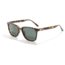 Sunski Ventana Sunglasses, Tortoise Frame, Forest Lens, SUN-VE-TFO