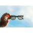 Sunski Ventana Sunglasses, Tortoise Frame, Forest Lens, SUN-VE-TFO