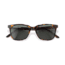 Sunski Ventana Sunglasses, Tortoise Frame, Forest Lens, SUN-VE-TFO