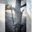 Tactacam Reveal Extended Range Antenna, Black, Handheld, EXTR-V1