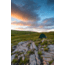 Terra Nova Southern Cross 1 Tents, 43SCR1E