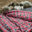 TETON Sports Celsius XXL 0 F Sleeping Bag, Left Zipper, Grey/Red, 2XL, 102L