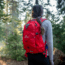 TETON Sports Oasis 18L Hydration Pack with 2L Bladder, Stark Red, 2101SCSR