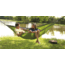 Texsport Rambler Double Travel Hammock, 14277