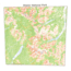 The Printed Image Glacier National Park Topo Ban 522