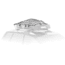 Thule Cargo Net 692