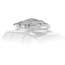Thule Cargo Net 692