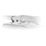 Thule Hydro-glide 875XT
