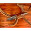 Titan International Knives Damascus Knife Hunting Style Fixed Blade Knife w/ Leather Sheath, 8 inch, TDK-238