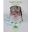 Trail Designs Caldera Cone with 12-10 Alcohol Stove