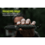 TRUE Nekkid 2.4in Fixed Blade Knife