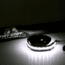 Tuff Stuff Overland LED Light Strip for Rooftop Tent, 12V, White, NSN N, TS-LED-TL-12V-WT
