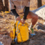 Ultimate Direction Fastpack 20 - Mens, Beacon, Medium/Large, 80469521BCN-M/L