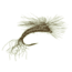 Umpqua Sprout Callibaetis 12