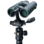Vanguard ED Glass HD 8x42 Binoculars, Green, VEO HD 8420