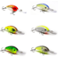 Vexan 6-Pack Verns Stoneroller 10 Crankbait Lures, Kit 1, Orange/Purple/Yellow/White/Green/Gray, 10 ft, Variety #1 VS 6-PK 10