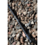 Vexan Catfish Fishing Rods, 7 ft, Heavy,Spinning, Black/Blue, VB7H-S