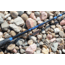 Vexan Catfish Fishing Rods, 7 ft, Heavy,Spinning, Black/Blue, VB7H-S