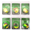 Vexan Two-fer Six 2-Packs Glow Walleye Crawler Harnesses, Gold/Perch, 48 in, Two-fer #1 WH