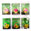 Vexan Two-fer Six 2-Packs Glow Walleye Crawler Harnesses, Pink/Orange/Gold/Green, 48 in, Two-fer #4 WH