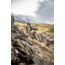 Vortex Mountain Pass Tripod Kit, Black, TR-MTP
