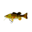 Westin Barry the Bass Jointed Hybrid Swimbait, 5-7/8in 2oz, Slow Sinking Smallmouth Bass, P057-212-023