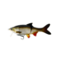 Westin Ricky the Roach Jointed Hybrid Swimbait, 5-7/8in, 1.25oz, Lively Roach, P058-136-025