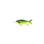 Westin Ricky the Roach Muilti-Jointed Hard Lure Swimbait HL/MJ, 3 1/8in, 1/4 oz, Crazy Firetiger, P032-063-007