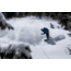Weston Backwoods Splitboard Artist Series - 21/22, White, 163, 106163025G