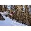 Weston Backwoods Splitboard Artist Series - 21/22, White, 163, 106163025G