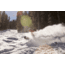 Weston Backwoods Splitboard Artist Series - 21/22, White, 163, 106163025G